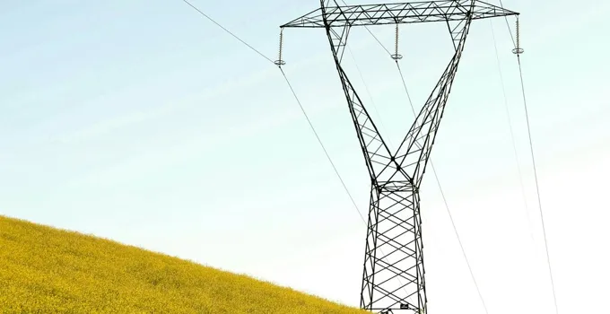 Kraftledning över rapsfält.