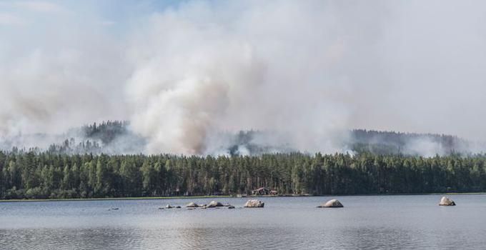 Forest fire in Sweden.