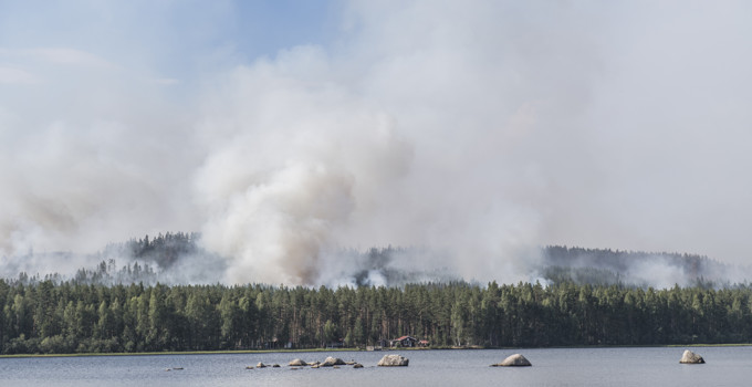 Forest fire in Sweden.