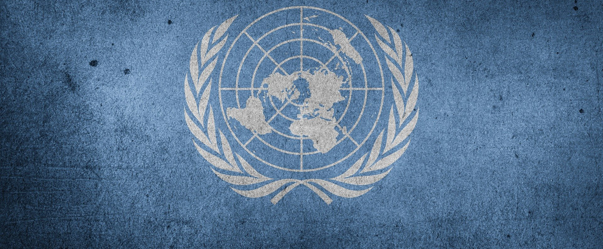 FN-flaggan, genrebild