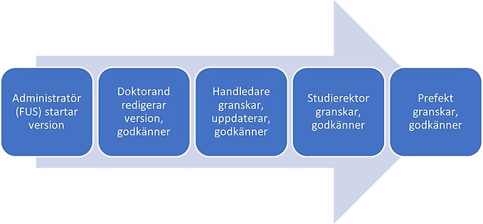 Illustration av ISP-processens olika steg.
