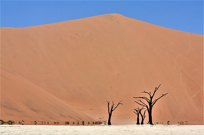 Climat change Security policy nexus